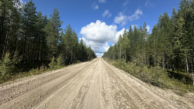 IMG 5347.jpg