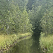 IMG 4595