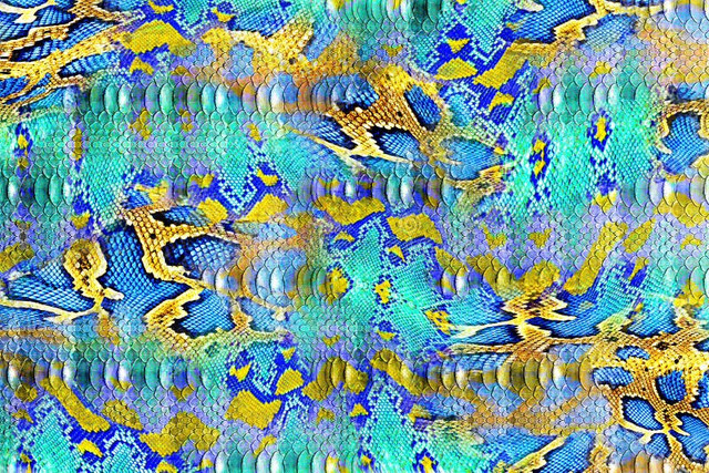 leopard-pattern-leopard-print-leopard-texture-6.jpg