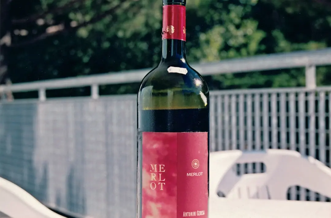 Vindecarea începe acolo unde se termină frica de confruntare