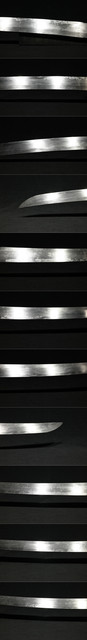 DSC8052.jpg