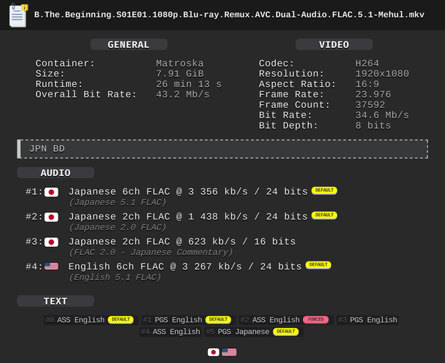 B the Beginning Remux MediaInfo