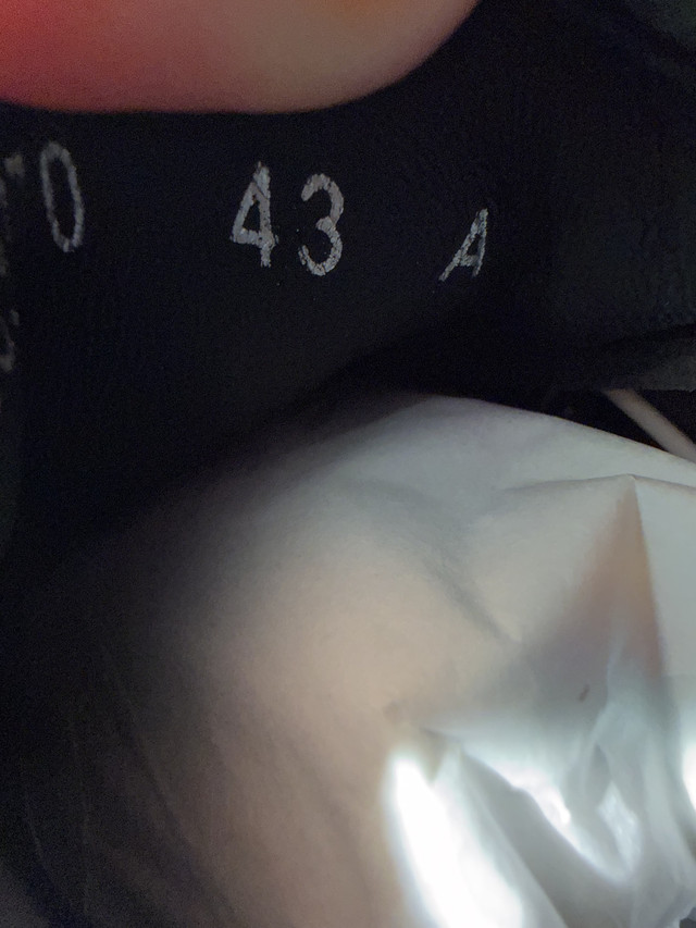 IMG-3750.jpg
