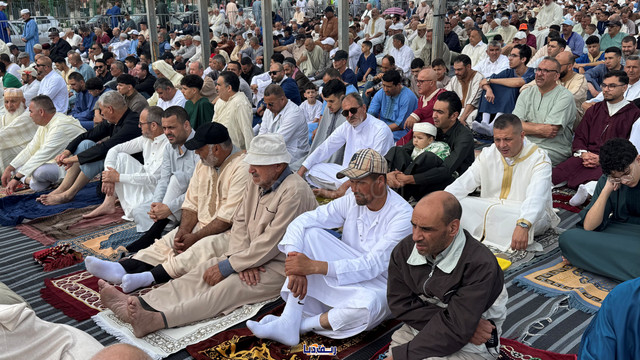 batch image00137