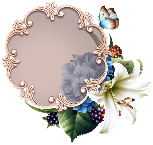 d1272597cbfe1e1fe0f1856c37b76dae.png