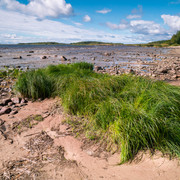 DSC05170
