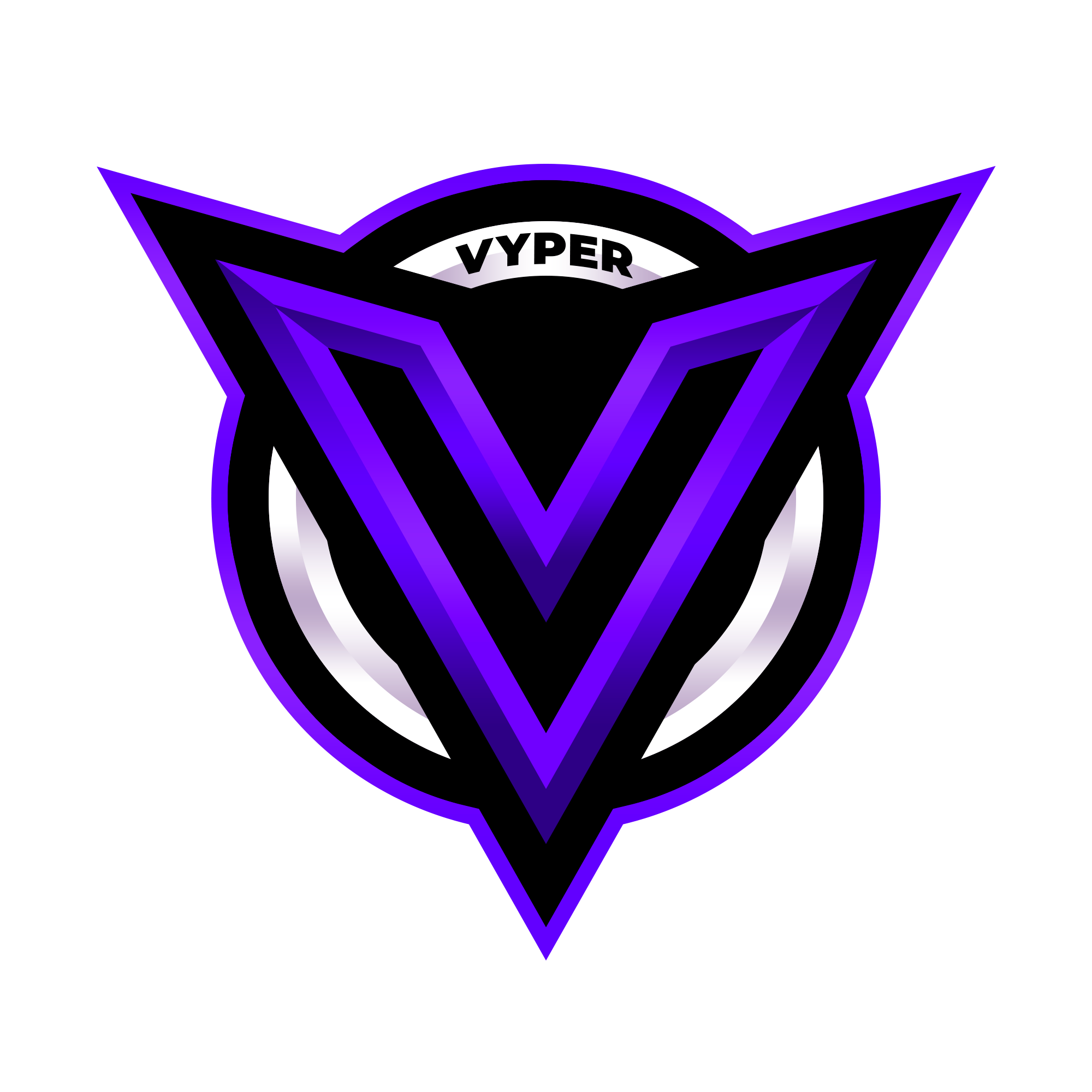 VYPER TEAM