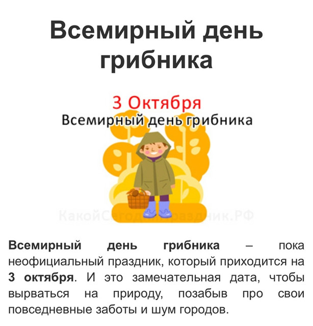 comp-IMG-7683