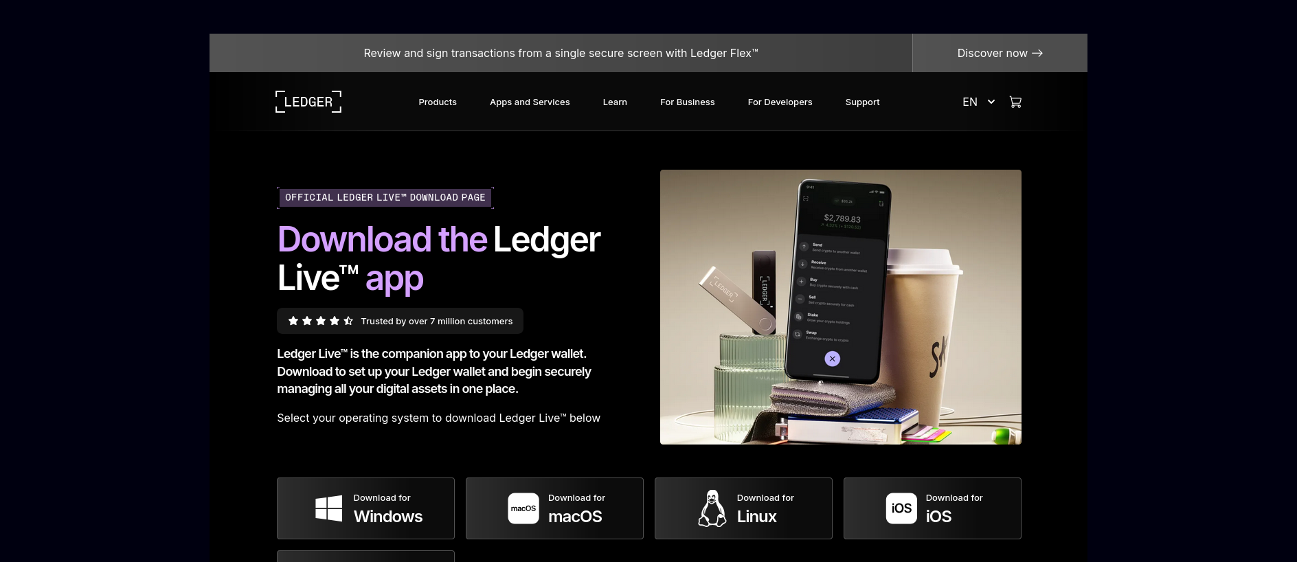 Stored capture of start-us-ledger-eng.netlify.app