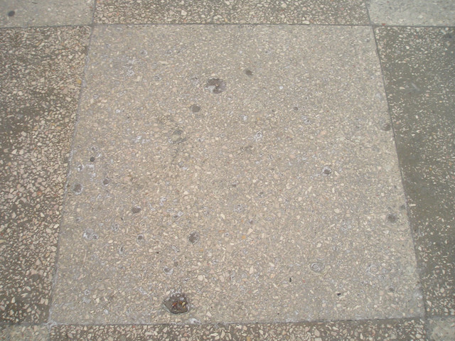P1010009