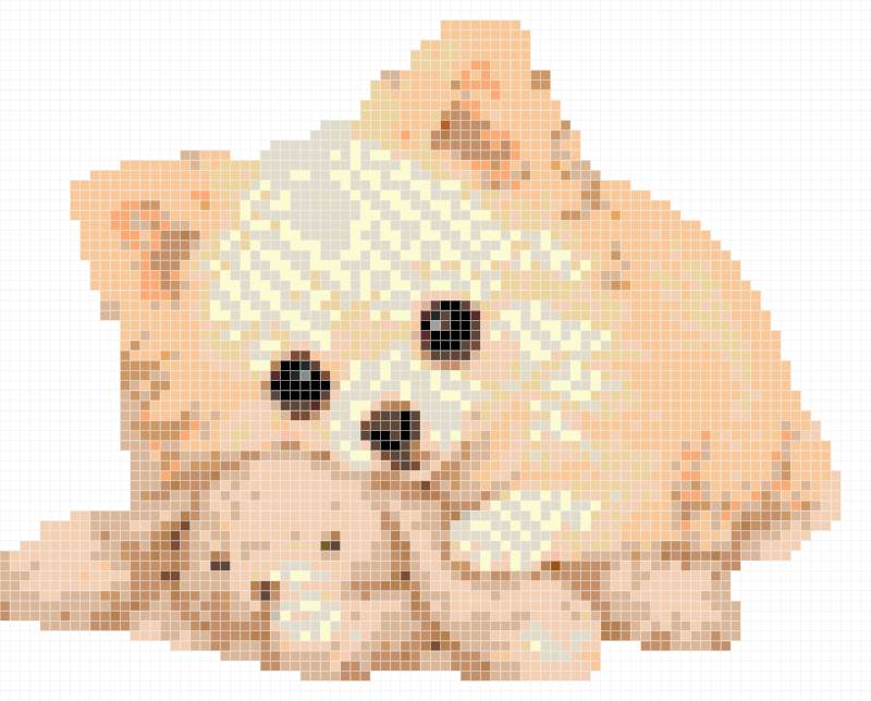Fluffy bunny