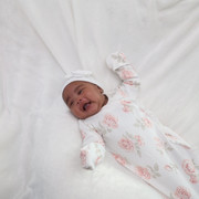 IMG-0726