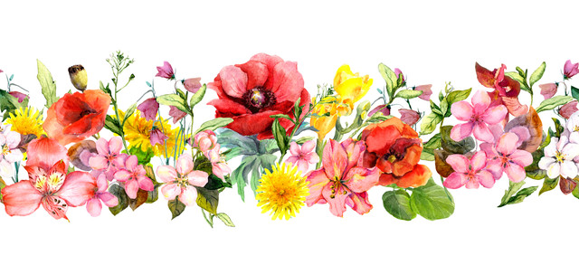 shutterstock 786972187.jpg