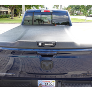 DSC09904