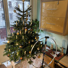 Mag Loop unterm Christbaum