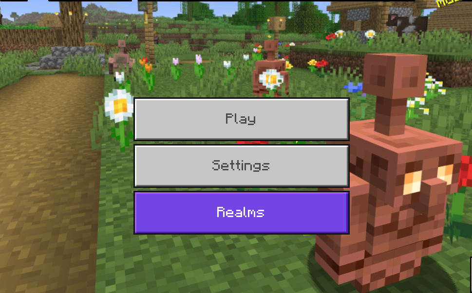 No MarketPplace Button