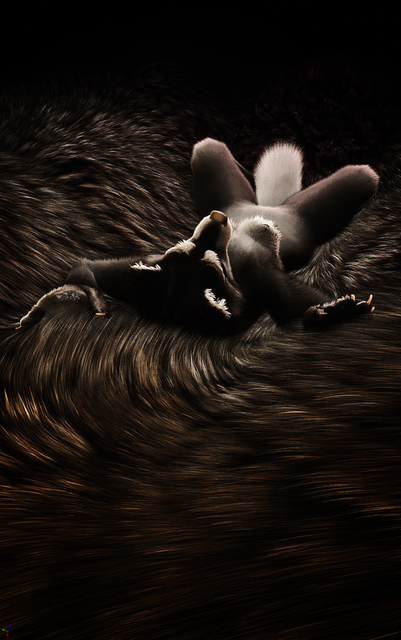 Highres-Screenshot00012