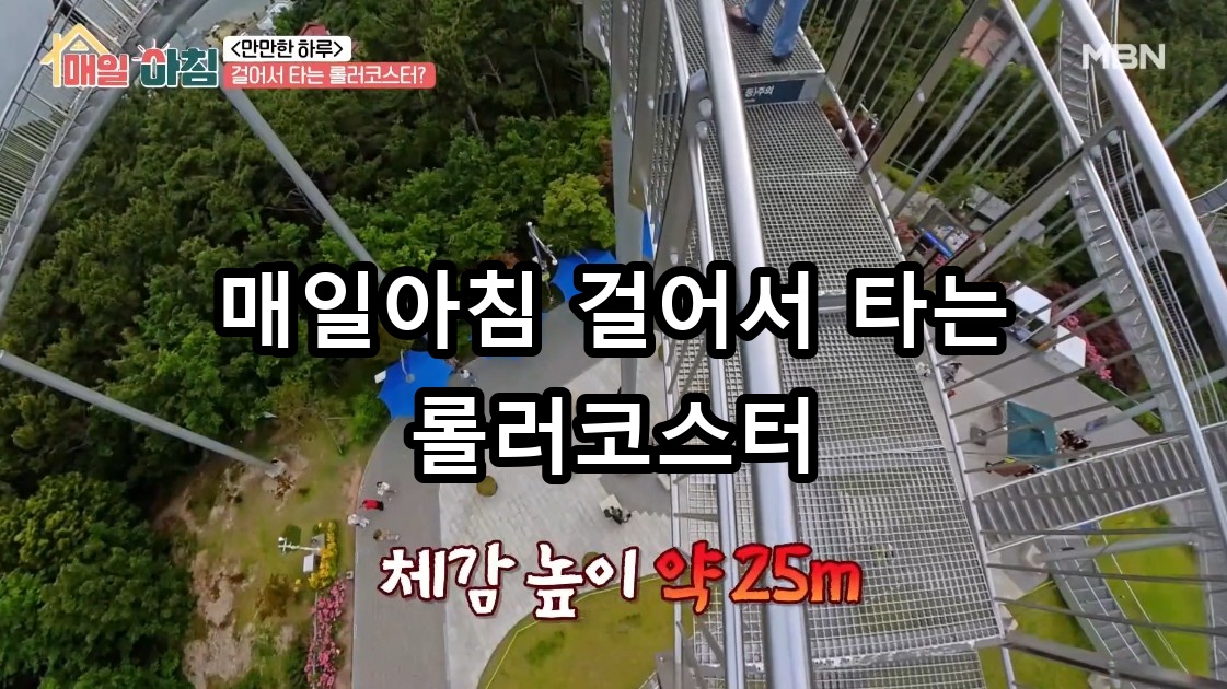 매일아침 걸어서 타는 롤러코스터 대표 이미지