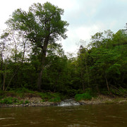 DSC04660