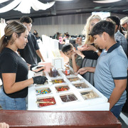 IMG-8847