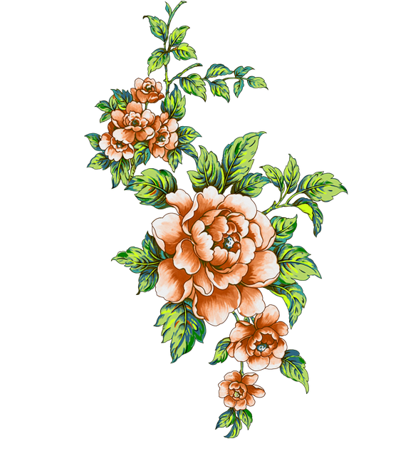 63d5320d8ffe02b4890703a1aaa96594.png