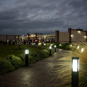 DSC2335