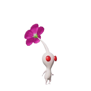 white8 removebg preview.png