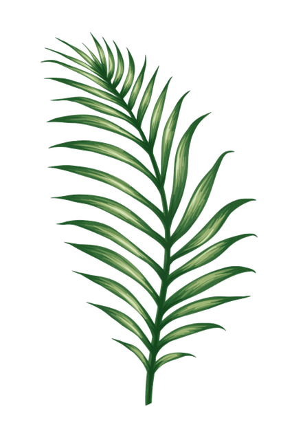 08cf10096860a5ae2fc59f12397c372e.png