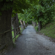 DSC1699