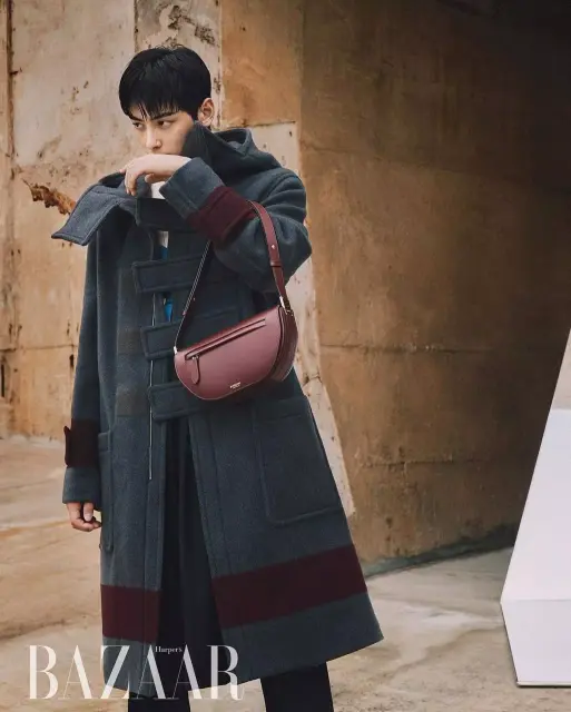 cha eun woo 1246940