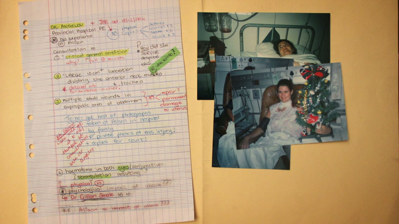 Alison Screenshot