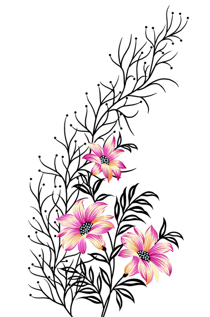 0042.png