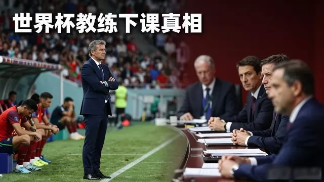 世界杯教练下课真相：输球只是表象，真正的核心问题藏在赛场之外