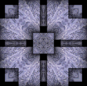 52fdfdf861fc