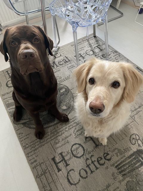 18726217-660-F-4-EAB-BEE5-16305-D398-D24