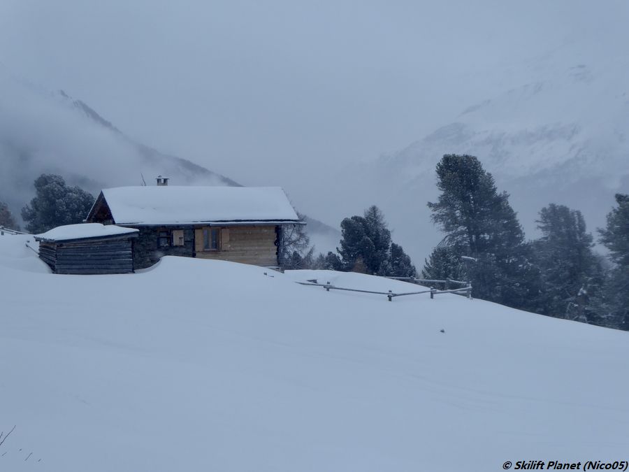 IMG-E4374.jpg