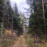 IMG-4457