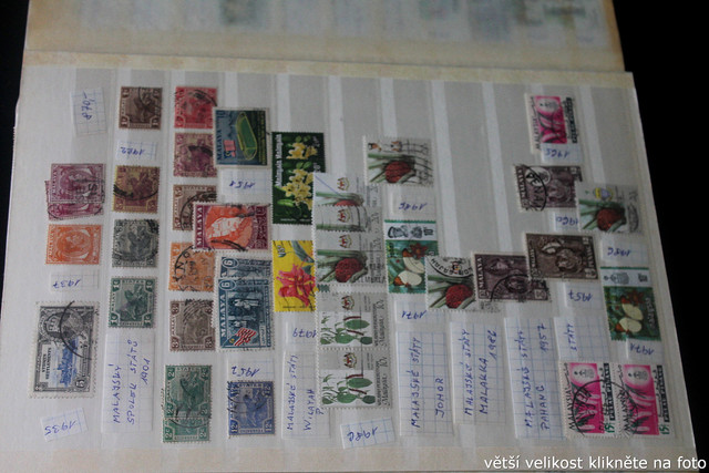 IMG-3741.jpg