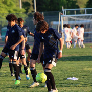 IMG-0333