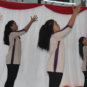 IMG-0267