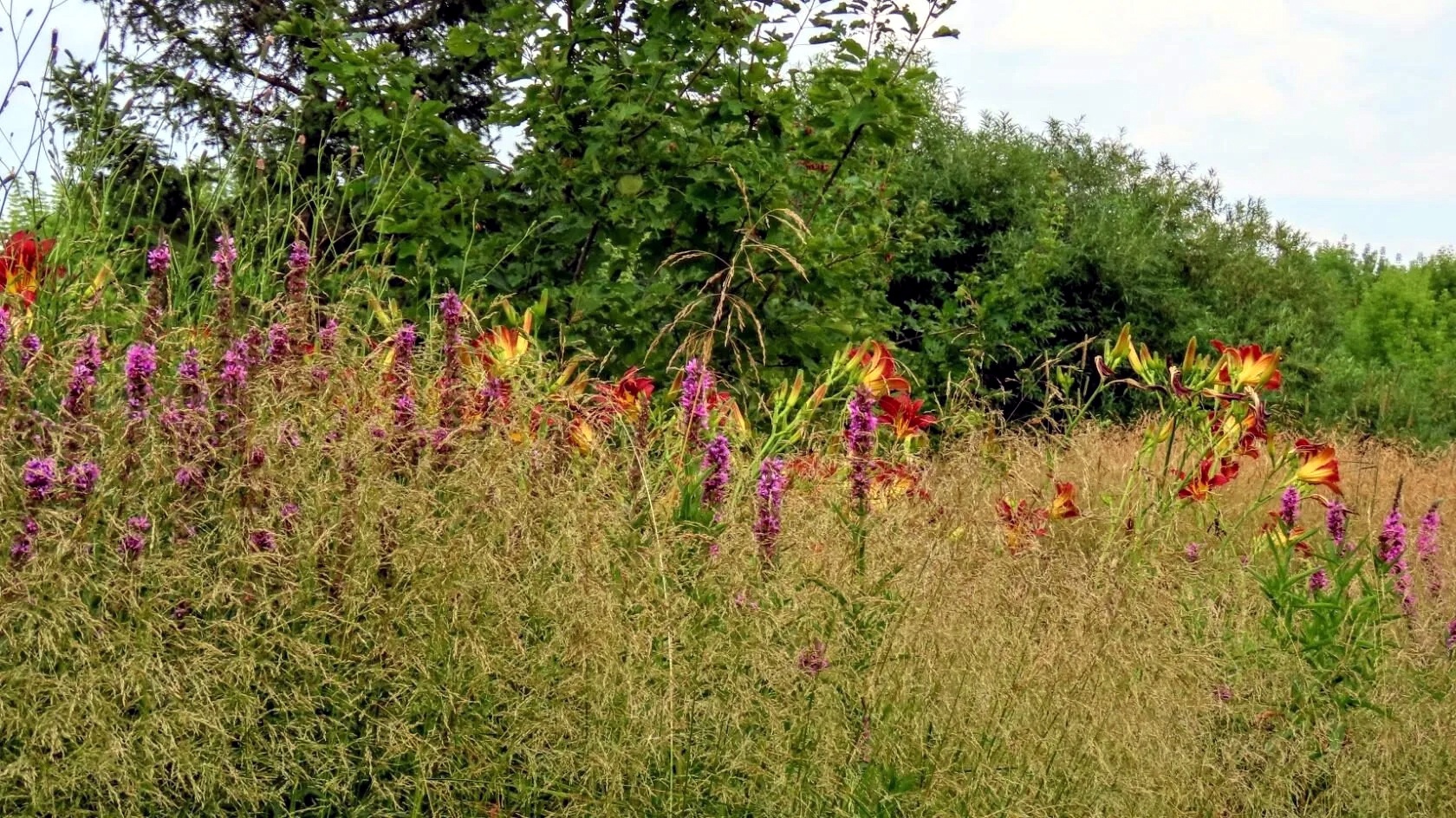 C4-N-gn1-Qke-S-pt0xm-KB1-AEzw-Yj-Fy6r-PBij3-A5k-Wr-Fv5h-H9zru-W2n-H9l-Dci3-FEGYTERY49-EJ6ab19ci-Hxw-