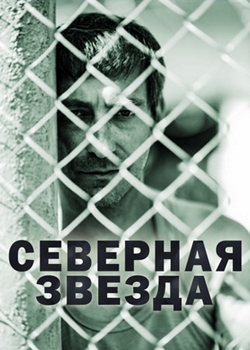Северная звезда (2020)