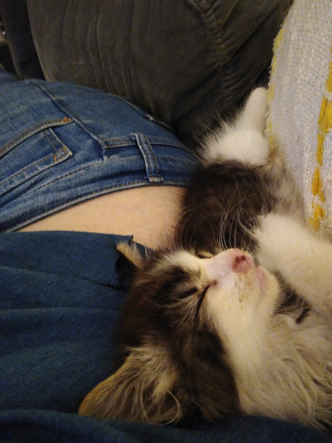 sleepy-Hank