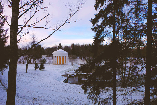 DSCF1049.jpg