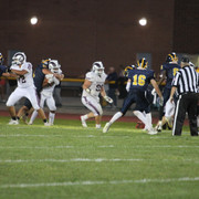 IMG-4641