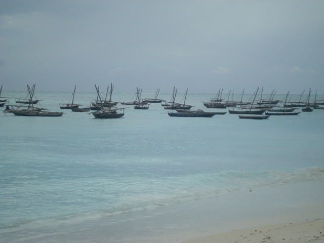 DSC02305.jpg