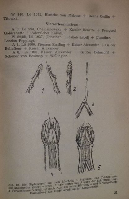 P1220574