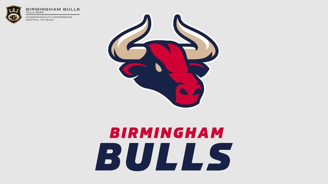 Birmingham-Bulls.png