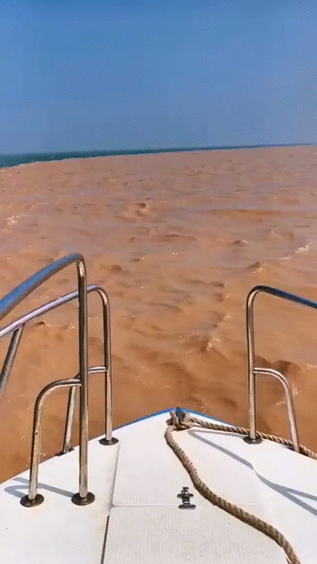 https://i.ibb.co/80wgqkF/1.gif