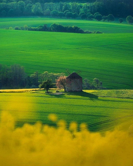 Czech-Republic